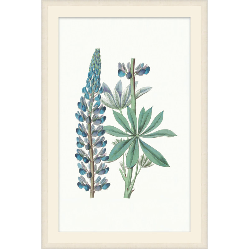 Sapphire Flora 4 Framed Print, 40" H x 27" W
