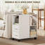 Cabinet Office Storage Cabinet