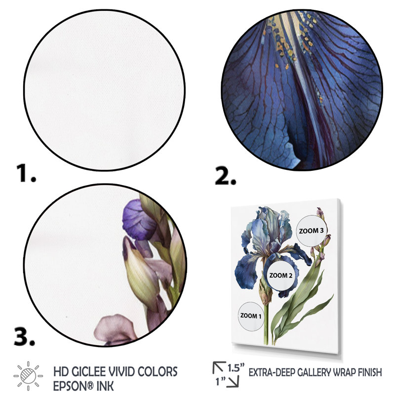 Iris bleu, illustration botanique sur toile, H 40 po x l 30 po x P 1,5 po, Cadre simple noir