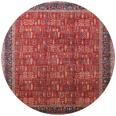 Oriental Indoor Rug