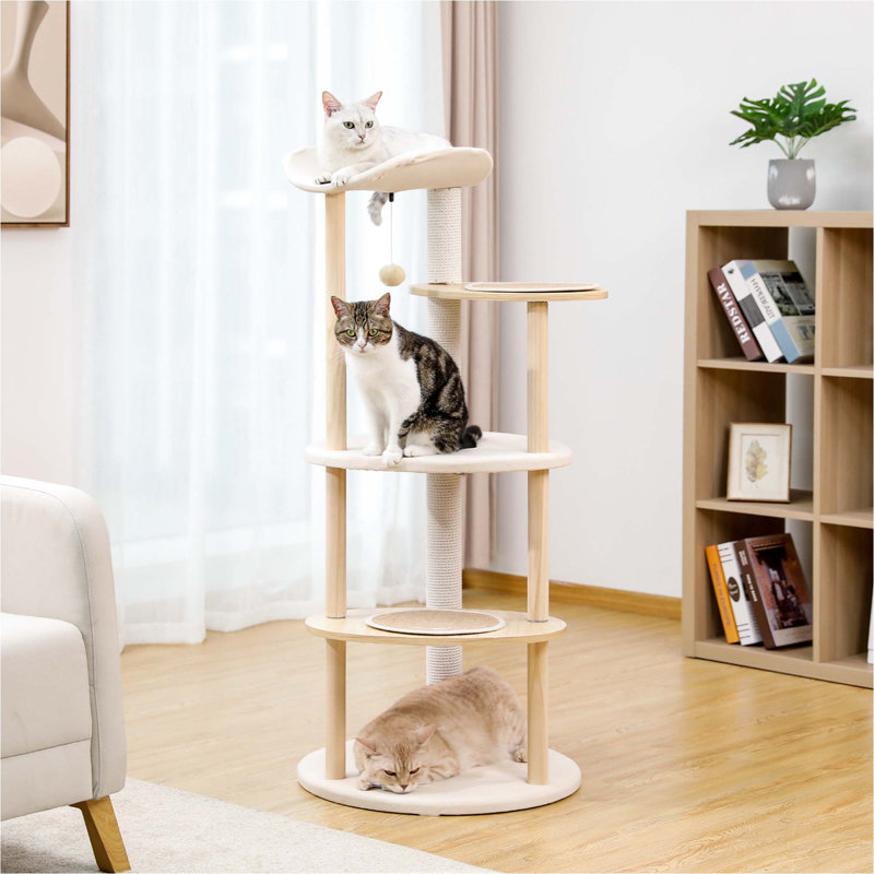 Carylann 49'' H Cat Tree