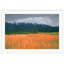 Fields Of Color 4 Framed Painting