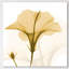 Orange Hibiscus Wave - Wrapped Canvas Print-1926300559