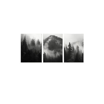 Ensemble de 3 décorations murales noir et blanc forêt brumeuse - image de paysage, 16 x 24 po