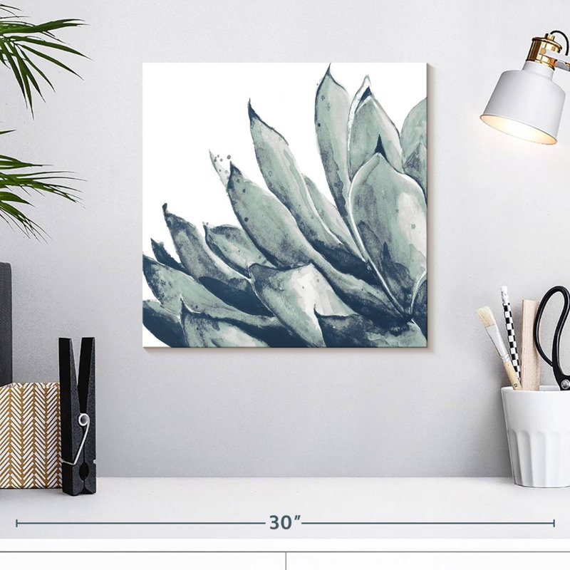 Agave bleu Harnek sur fond blanc I, H 16 po x l 16 po
