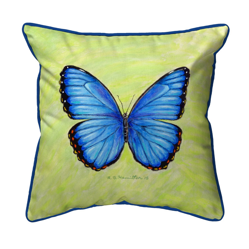 Morpho Morpho Outdoor Square Pillow Cover and Insert, Large
