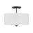 Ralston 2-Light Ceiling Light in Matte Black-1619810751