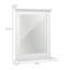 Emmerlyn Flat Mirror with Shelves