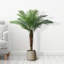 Palmier de canne doré artificiel Adcock en pot, plante artificielle pour la décoration intérieure-390423801-341800145