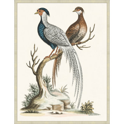 Grand Pheasant " Grand Pheasant 2 "