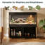 Terrarium 120 gallons avec support et armoire de rangement pour reptiles