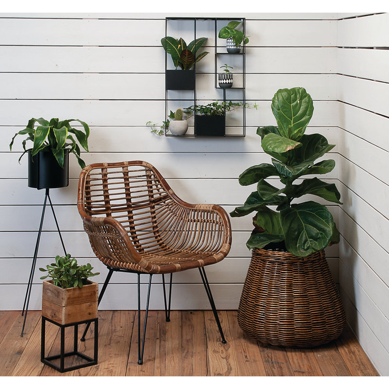 Chaise de patio boho hall Agustin