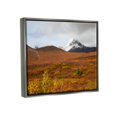 Bb-196-Floater " Meadow With Distant Peak "