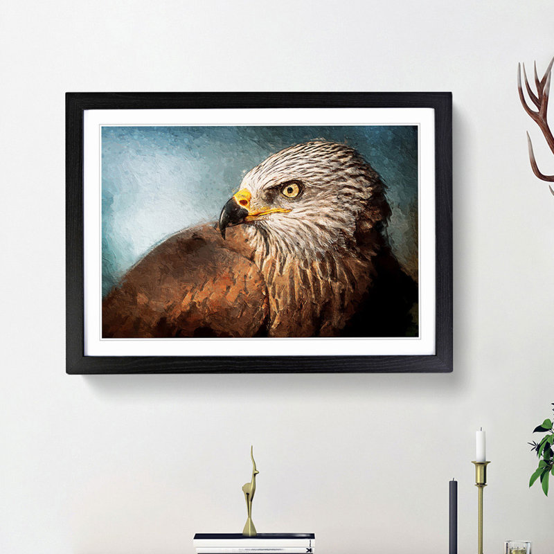 Portrait of  Kite Bird - Picture Frame Painting Print, Black Framed, 36cm H x 48cm W x 2cm D