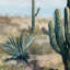 Reproduction d’art sur toile « desert vista »-1627630065