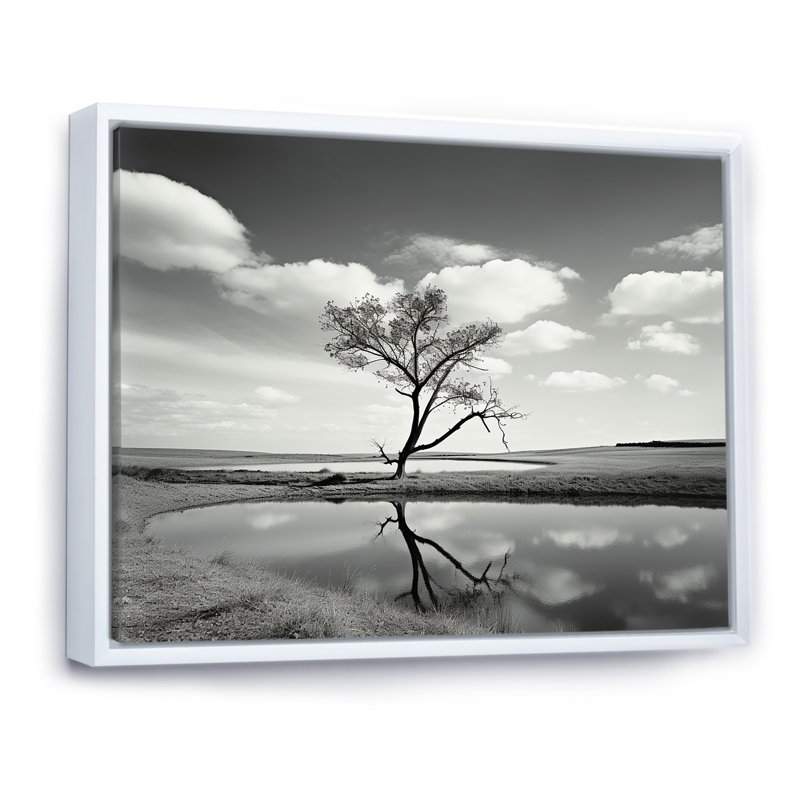 Photographie d'un arbre noir et blanc au bord du lac, Cadre flottant blanc, 12" H x 20" W