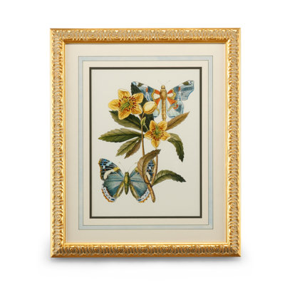 Butterfly Oasis III Print