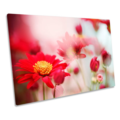 Red Daisy Flower Floral - Wrapped Canvas Print