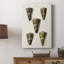 Collection Cone Shell V - Cavas enveloppés de galerie-1725046062