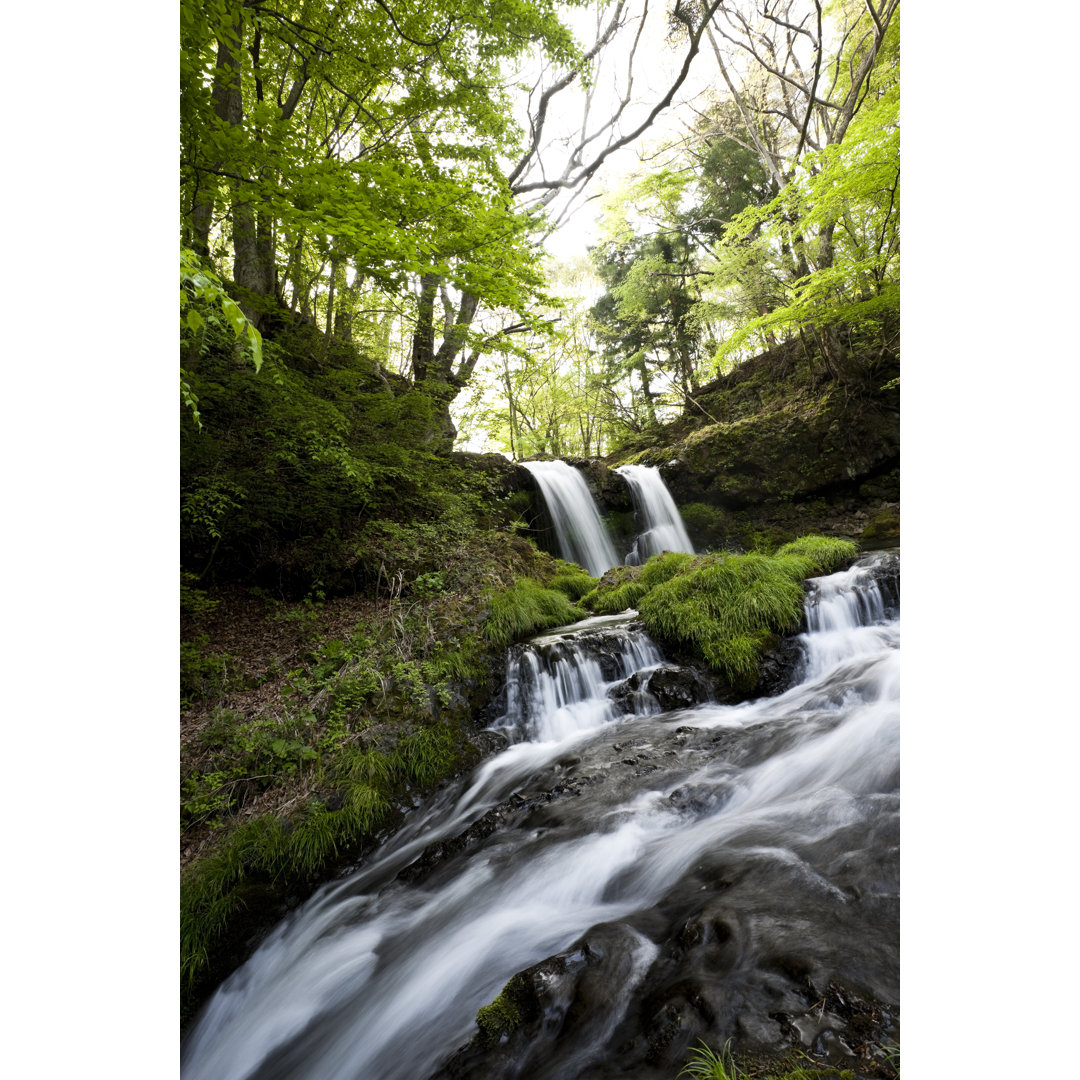 Fallendes Wasser von Ooyoo - Leinwandbild