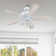 Ajda 44'' Ceiling Fan with Light Kit