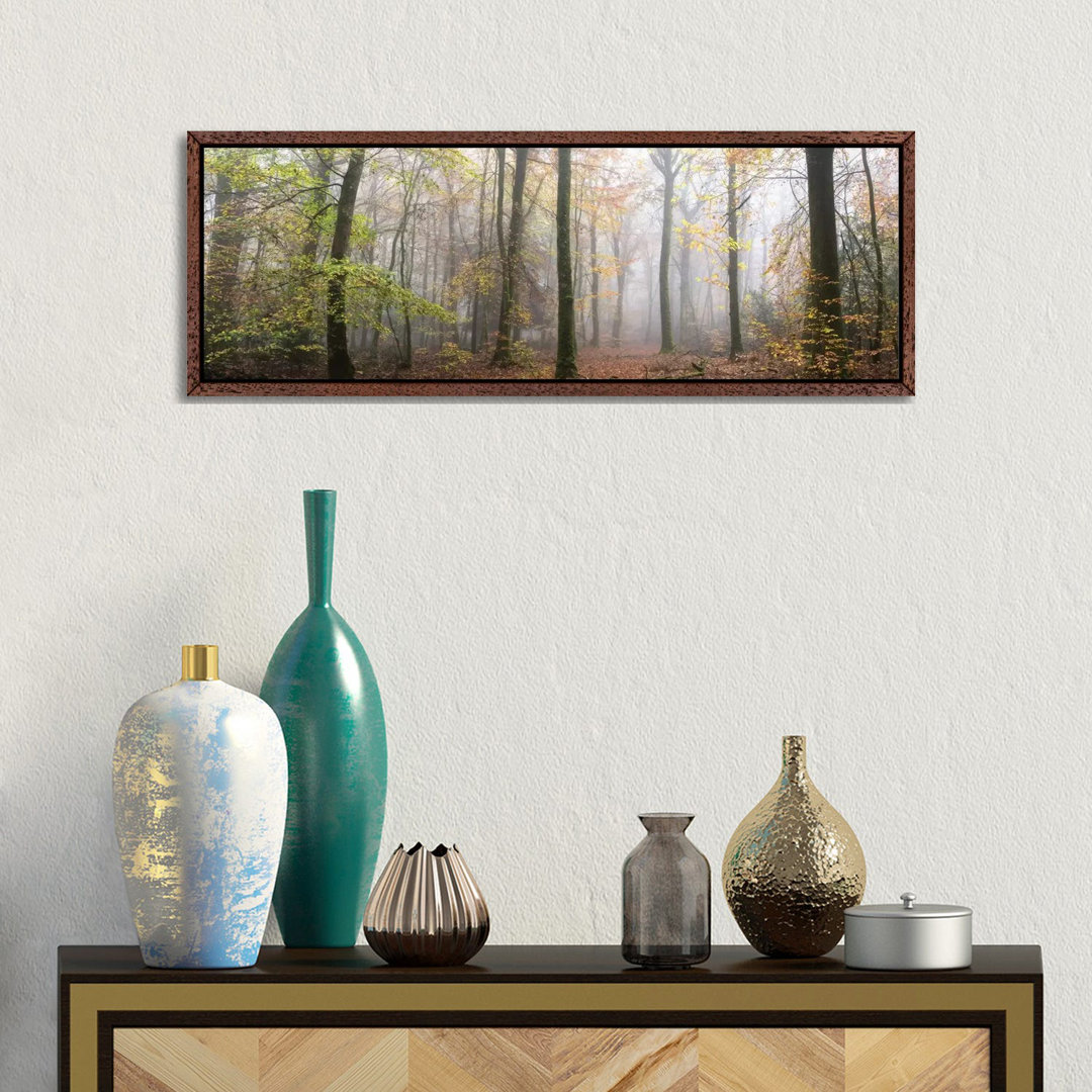 Panoramaspaziergang im Wald von Philippe Manguin - Galerie-verpackte Leinwand Giclée