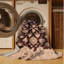 Machine Washable Overdyed Brown Area Rug-1895550471