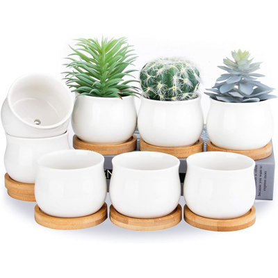 8-pack Mini White Ceramic Succulent Pots (2.6") With Bamboo Trays