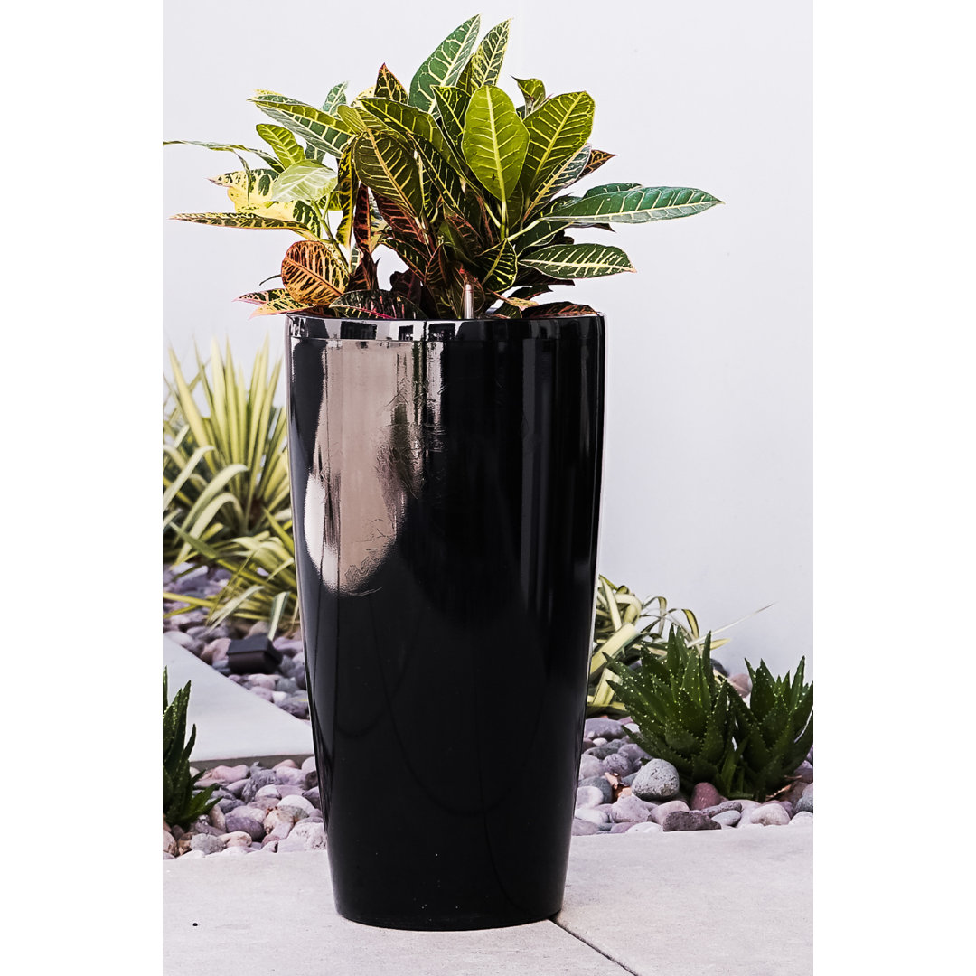 Self Watering Plastic Pot Planter Latitude Run®