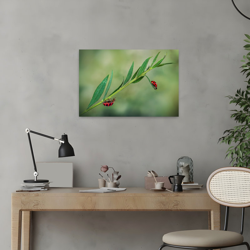 Lively Ladybugs On Green Vibrant Abstract Ladybug Forest Nature Wall Art Print 1 Piece Wrapped Canvas Wall Art
