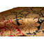 Wool Oriental Area Rug