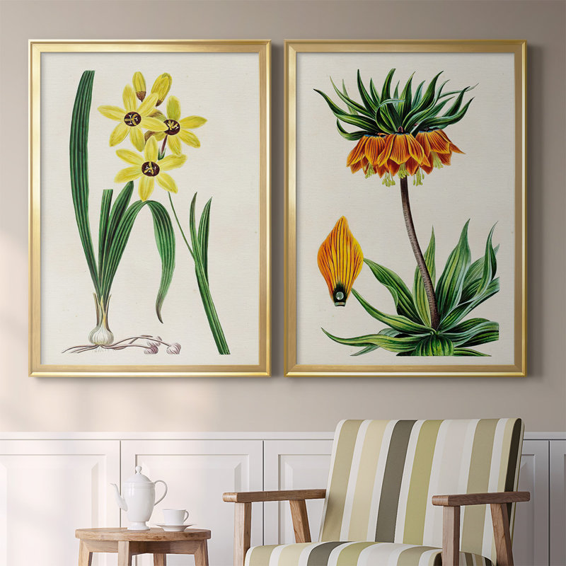 Antique Floral Folio VI - Ensemble de 2 reproductions d'art sur toile encadrées, H 41,25 po x l 61 po x P 1,25 po, Or