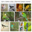 Cage à oiseaux en bois 60 po-1125950687