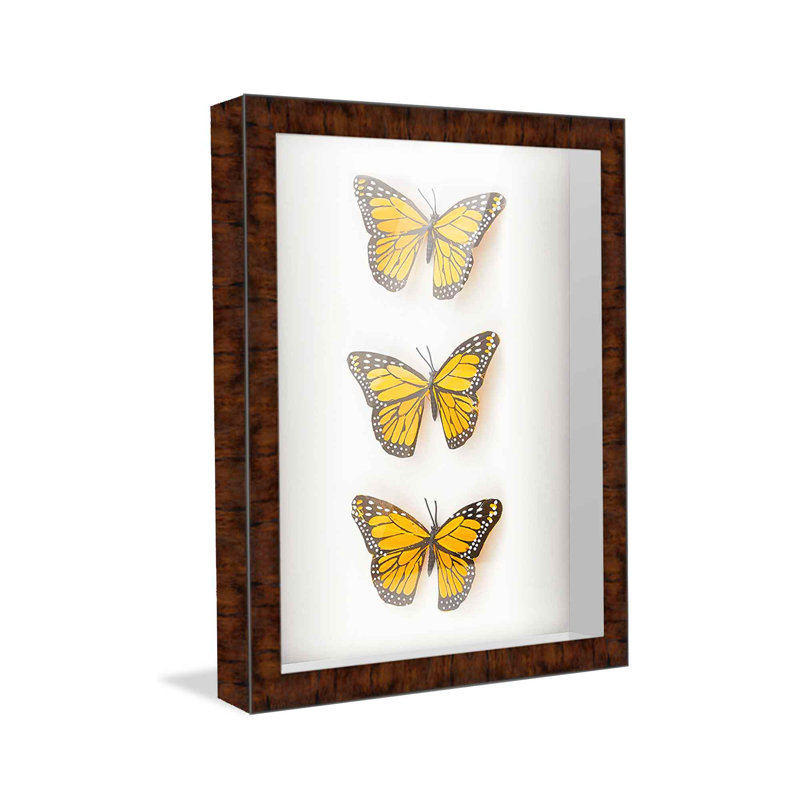 Cattalaya Solid Wood Shadow Box Picture Frame
