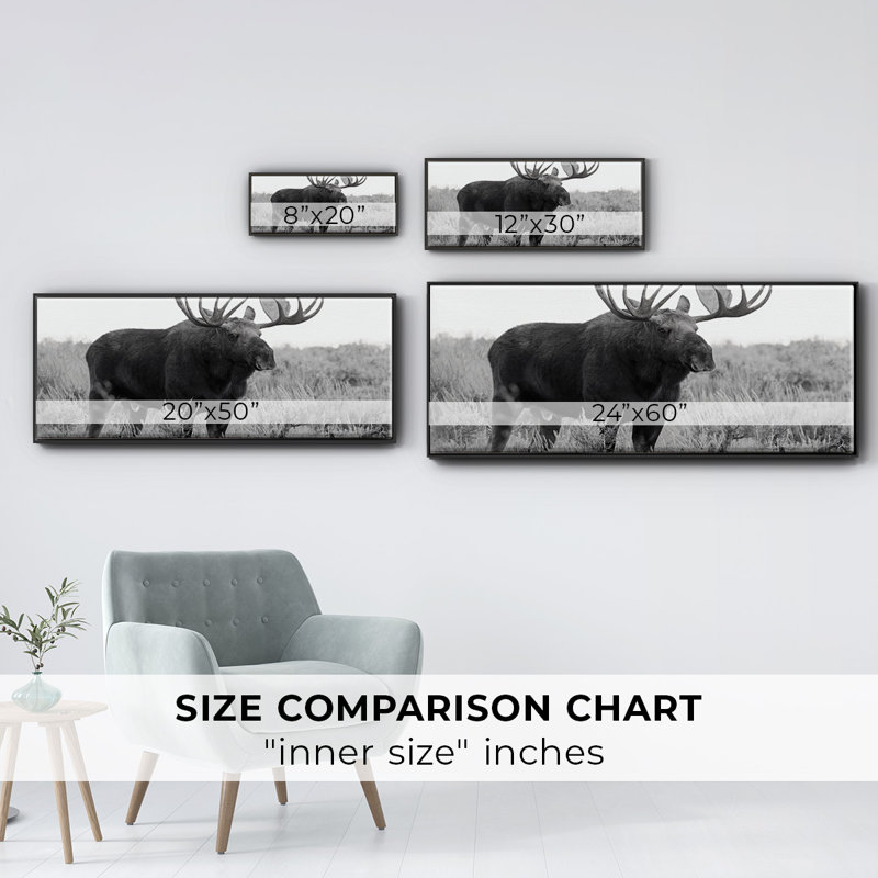 Grand Teton Bull Moose - toile encadrée