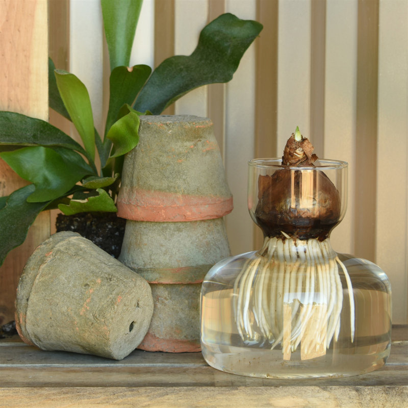 Vase de table en verre transparent de 5,5 po