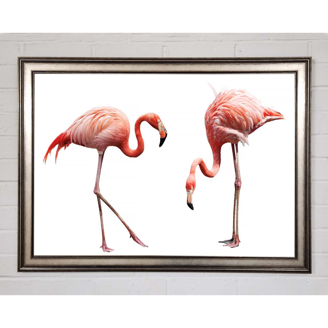 Finis Pink Flamingo Duo Gerahmter Druck Wandkunst