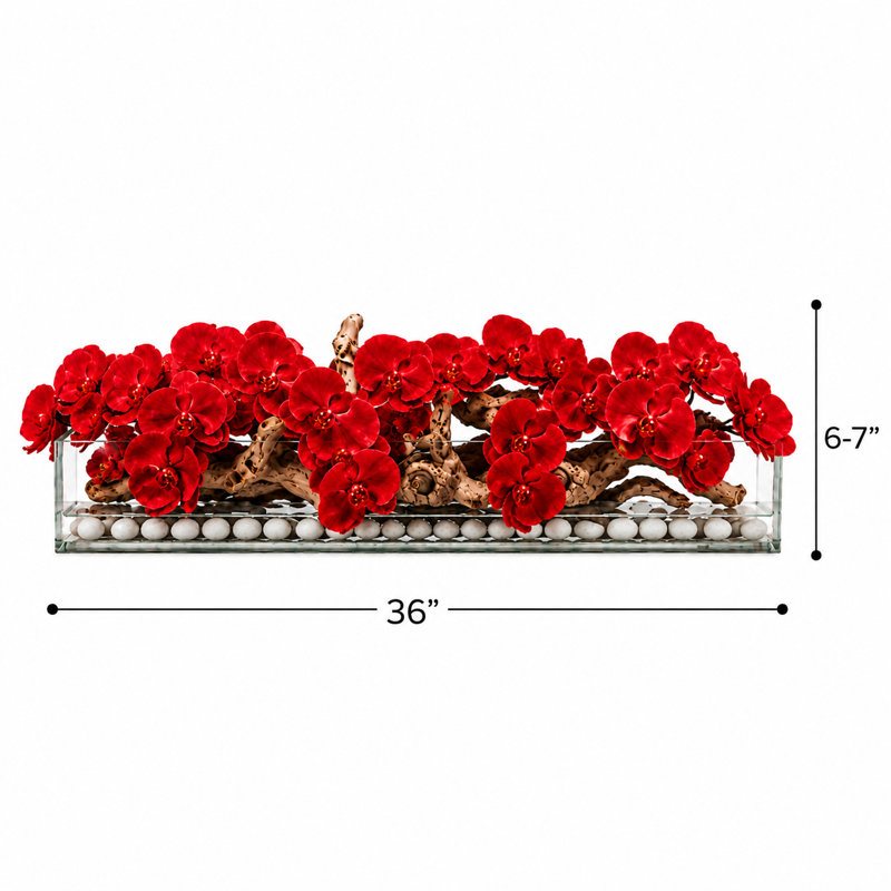 Arrangements floraux d'orchidées en pot, Red, H 12 po x l 36 po x P 6 po