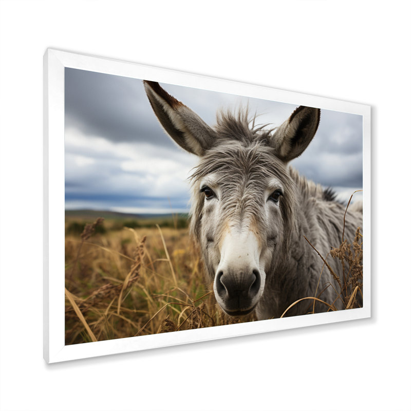 «Grey Donkey Gentle Companion», reproduction sur toile, H 16 po x l 32 po x P 1 po, Cadre photo blanc