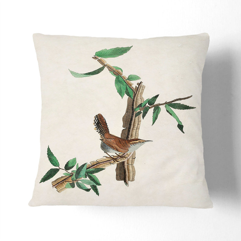 Bewicks Wren By John James Audubon Square Throw Cushion, 40 x 40 cm
