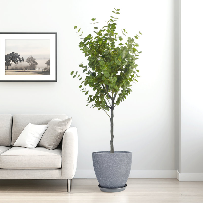 Pots ronds en résine artificielle avec plateau d'eucalyptus artificiel et résine, Gris foncé, 19.69" H x 70.87" W x 19.69" D