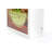 Degaglia 6'' Animals Marquee Sign