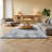 Indoor Plush Area Rugs, 6 x 9 ft Soft Plush Carpet, Furry Shag Area Rugs for Living Room, Bedroom, Modern Home Decor Aesthetic Long-Pile Rug, Non-Shedding, Slip-Resistant, Tie-Dye Light Gray