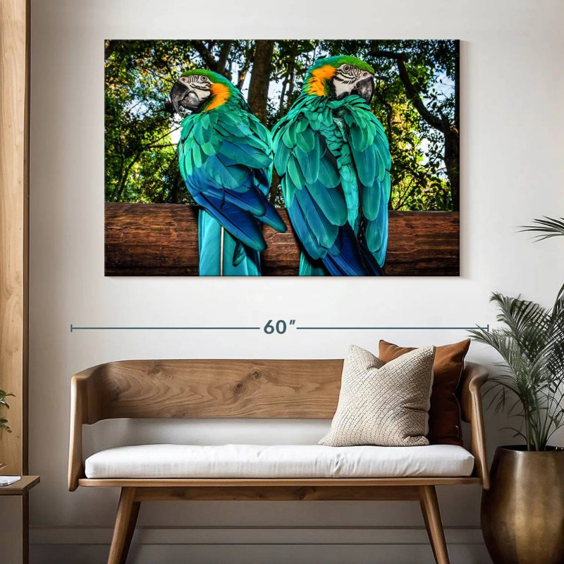 Brampt Macaw Parrots, 34" H x 51" W