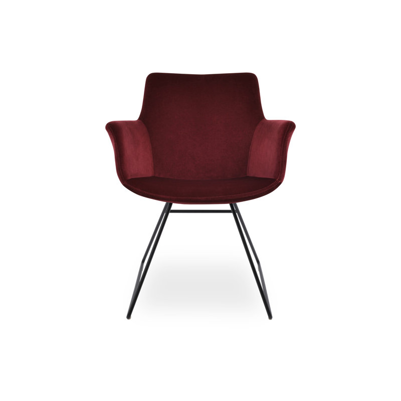 Fauteuil Bottega, Noir, Cherry