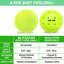 Goleports GS 40 Q-Foam Pickleballs - Balles de mousse silencieuses pour l'entraînement intérieur ou extérieur - paquet de 12