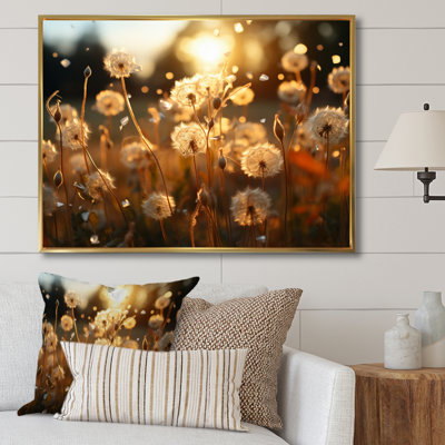 " Sunset Dandelion Field V "