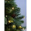 210cm H Lighted Artificial Pine Christmas Tree