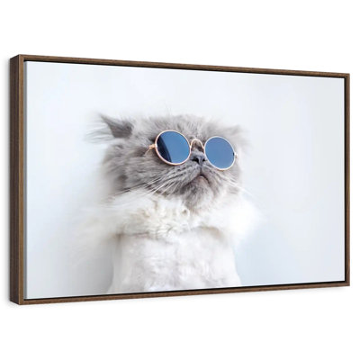 Cool Cat