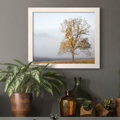 Cades Cove - Impression sur toile